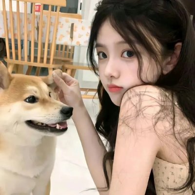 落花时节又逢她